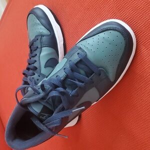 Nike Dunk, size 8 men slightly worn